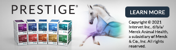 https://www.pattersonvet.com/Search?q=prsetige+equine